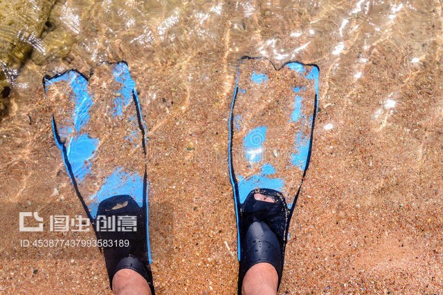 穿足腳蹼，一躍入海 探索水下的自由與沉靜